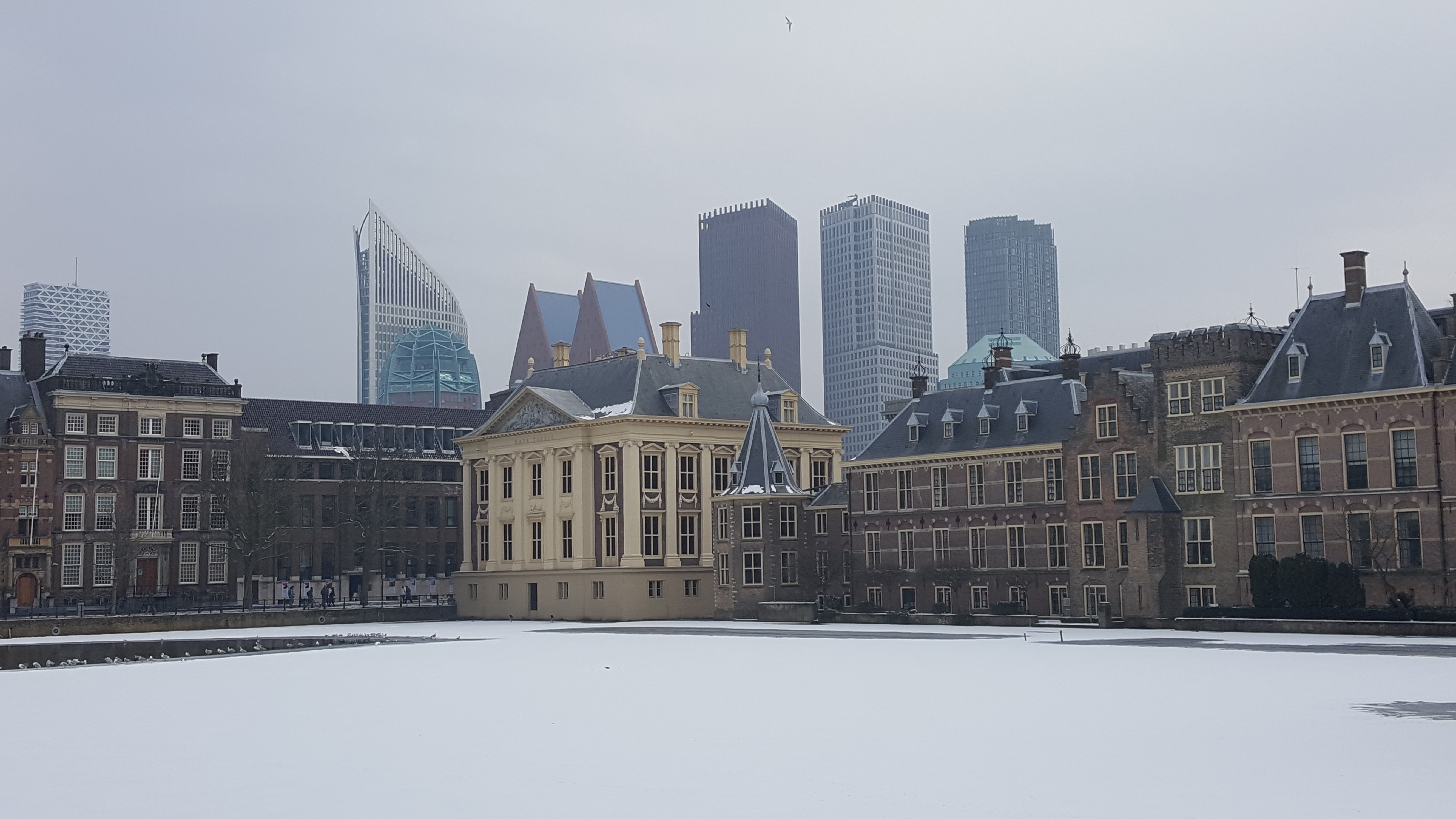 Mauritshuis, Binnenhof en Hofvijver